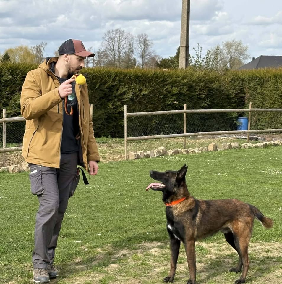 Victor Vergne en séance avec un malinois